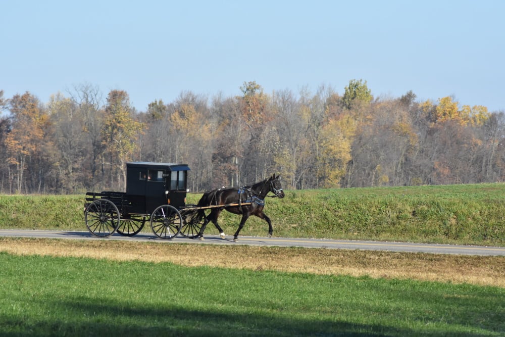 A comunidade real que rejeitou a tecnologia e o mundo moderno